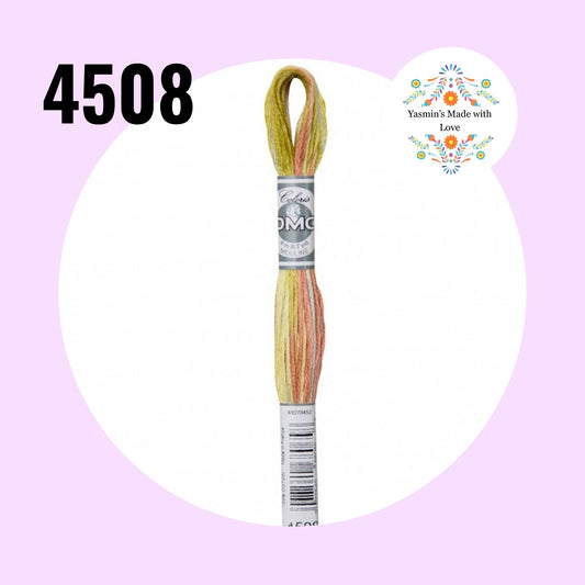 DMC 4508 Campagne Givree DMC Coloris Embroidery Thread