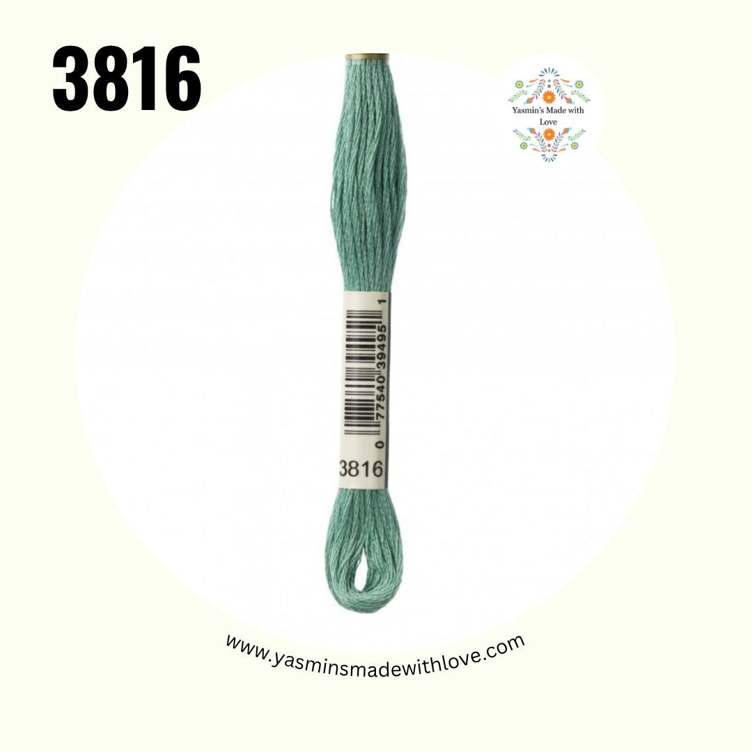3816 Celadon Green – DMC Mouliné Standard Cotton