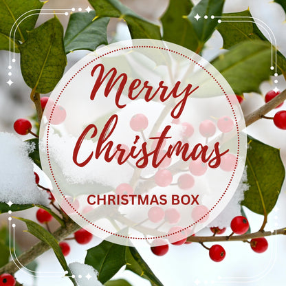 PREORDER Christmas Stitch Box | Quarterly Cross Stitch Subscription Box