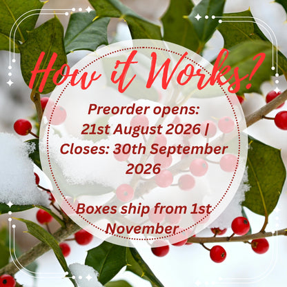 PREORDER Christmas Stitch Box | Quarterly Cross Stitch Subscription Box